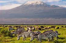 3 Day Tour to Amboseli Tsavo West & East to Mombasa/Diani/Nairobi
