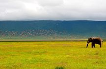 2 days group safari to Amboseli National park (Mon-Wed-Sat only)