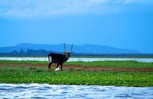 Day tour to mount Longonot park from Nairobi