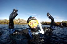 Golden Circle & Snorkeling in Silfra From Reykjavík with Free Photos
