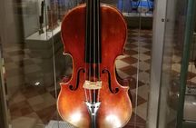 Florence: 1-hour Accademia Gallery guided experience with entrance tickets 