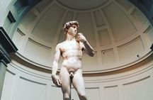Florence: 1-hour Accademia Gallery guided experience with entrance tickets 