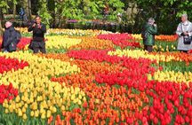 7 Day Taste of Central Europe Tour Germany, Netherlands, France, Belgium