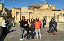 Cordoba City Tour with Mosque-Cathedral from Seville