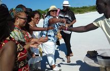 Providenciales Group Island Tour