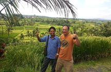 Tanah Lot and North Bali Private Tour - All inclusive