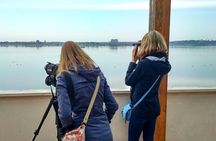Donana National Park and El Rocío: Guided Tour from Seville