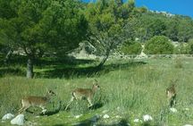 Donana National Park and El Rocío: Guided Tour from Seville