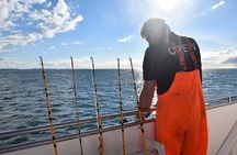 Sea Fishing Experience from Reykjavik