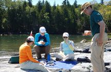 Oyster Farm & Tasting Sea Kayak Tour in Casco Bay