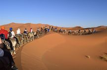 Morocco 9 Days Tour from Casablanca