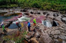3-Day Caño Cristales (Rainbow River) from Bogotá