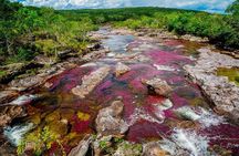3-Day Caño Cristales (Rainbow River) from Bogotá