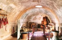  San Diego Fortress Explorer 6-Hour Highlights Walking & Van Tour