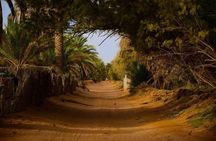 Door of the tunisian desert Ksar Ghilane and Matmata: Full one Day