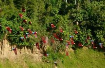 3 Day - Posada Amazonas Classic Program Group Tour