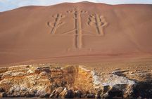 From Lima: Ballestas, Nazca Lines & Huacachina Oasis