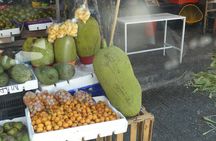 Hidden Acapulco: Off-the-Beaten-Path Immersive with Local Lunch