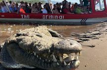 Crocodile Man Tour THE ORIGINAL