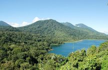 Private Jatiluwih Rice Terraces Heritage Site and Culture Tour