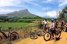 E-Bike Stellenbosch to Franschhoek