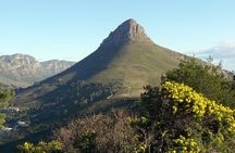 Cape Town to Cape Point Private Day Tour