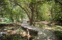 Krka Waterfalls & Primošten from Trogir, Seget, Čiovo & Kaštela