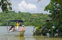 Gamboa Rainforest Experience From Panama City