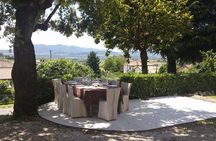 From Venice : Wine and Food tour in the Prosecco Hills 