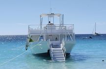 Barbados Turtle and Shipwreck Snorkel Adventure