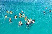 Barbados Turtle and Shipwreck Snorkel Adventure