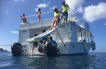 Barbados Turtle and Shipwreck Snorkel Adventure