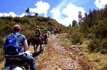 Half Day - City Horse Traditional Riding Tour Group Service