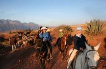 Half Day - City Horse Traditional Riding Tour Group Service