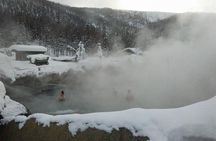 Chena Hot Springs Aurora Tour