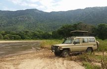 4 Days Affordable Tanzania Budget Safari