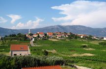 Korcula Bike & Wine Tour | Wine Tasting in Lumbarda