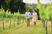 Sunshine Coast and Noosa Private Tour Inc. 2-Course Gourmet Lunch