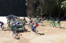 Self Guided Martinborough Wineries Bike Tour