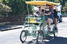 Self Guided Martinborough Wineries Bike Tour