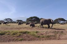 Overnight Safari to Amboseli National Park