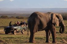 2 Day Safari Experience from Cape Town 