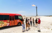 Full-Day Bahrain Guided Tour