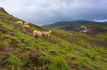 Private Jeep Tour - Game of Thrones experience