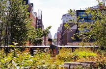 High Line and Chelsea Small Group Tour