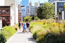 High Line and Chelsea Small Group Tour