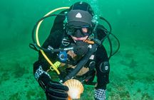 First Time Diver Scuba Experience