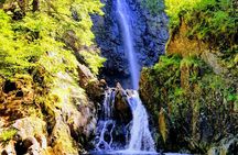 Alternative Loch Ness Tour by Secret Highlands