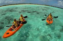 Clearbottom Mangrove Kayak & Snorkel tour