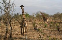 MIKUMI NATIONAL PARK - 3 Days